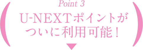 point3.U-NEXTポイントがついに利用可能！